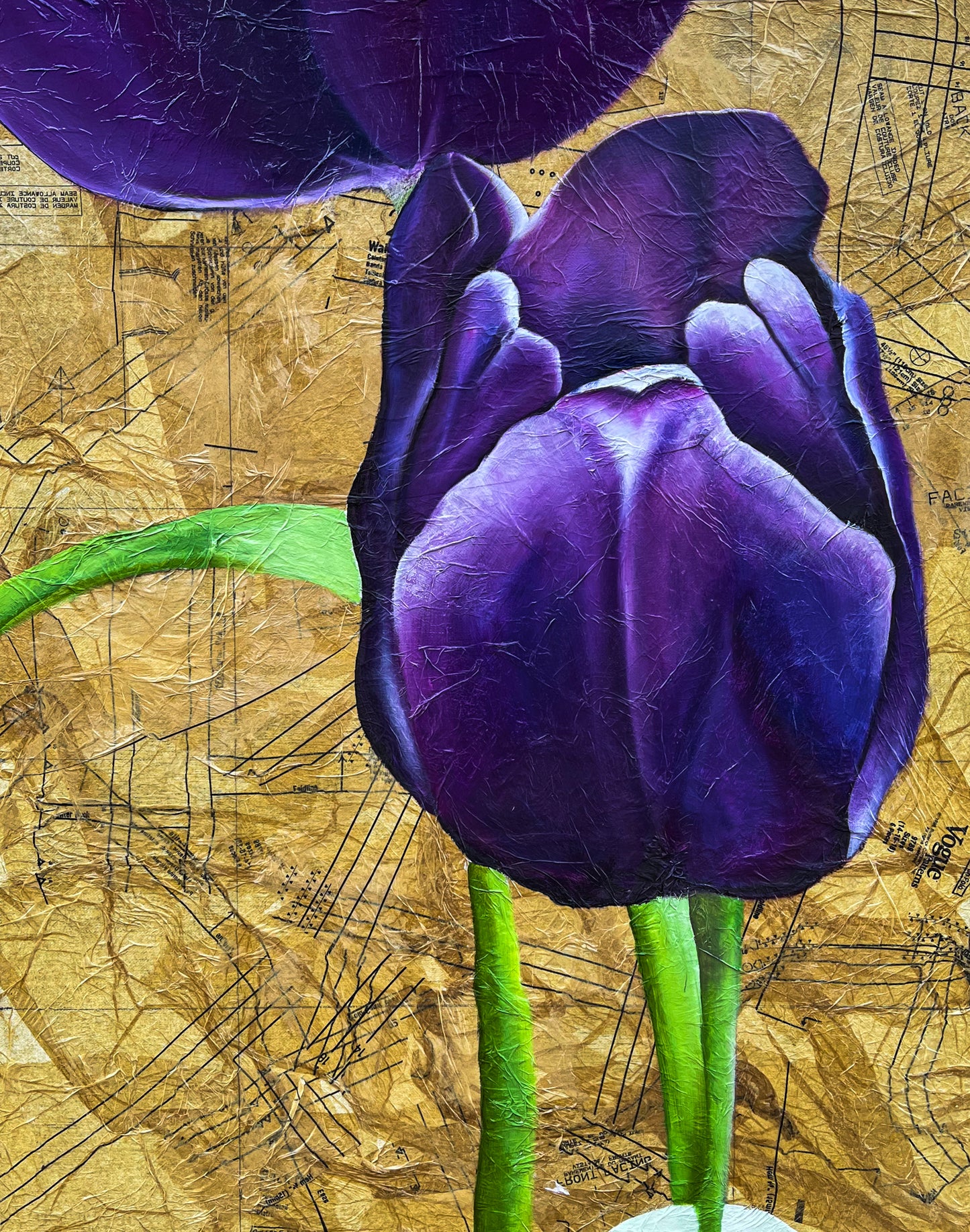 Purple Tulips