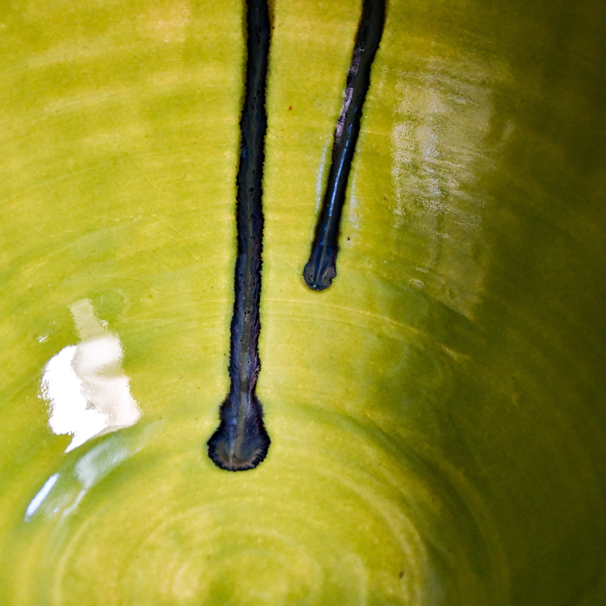 Close up of lime green handmade wheelthrown serving bowl with black drips and texture from the 5th Buffalo collection from Leigh Art. 