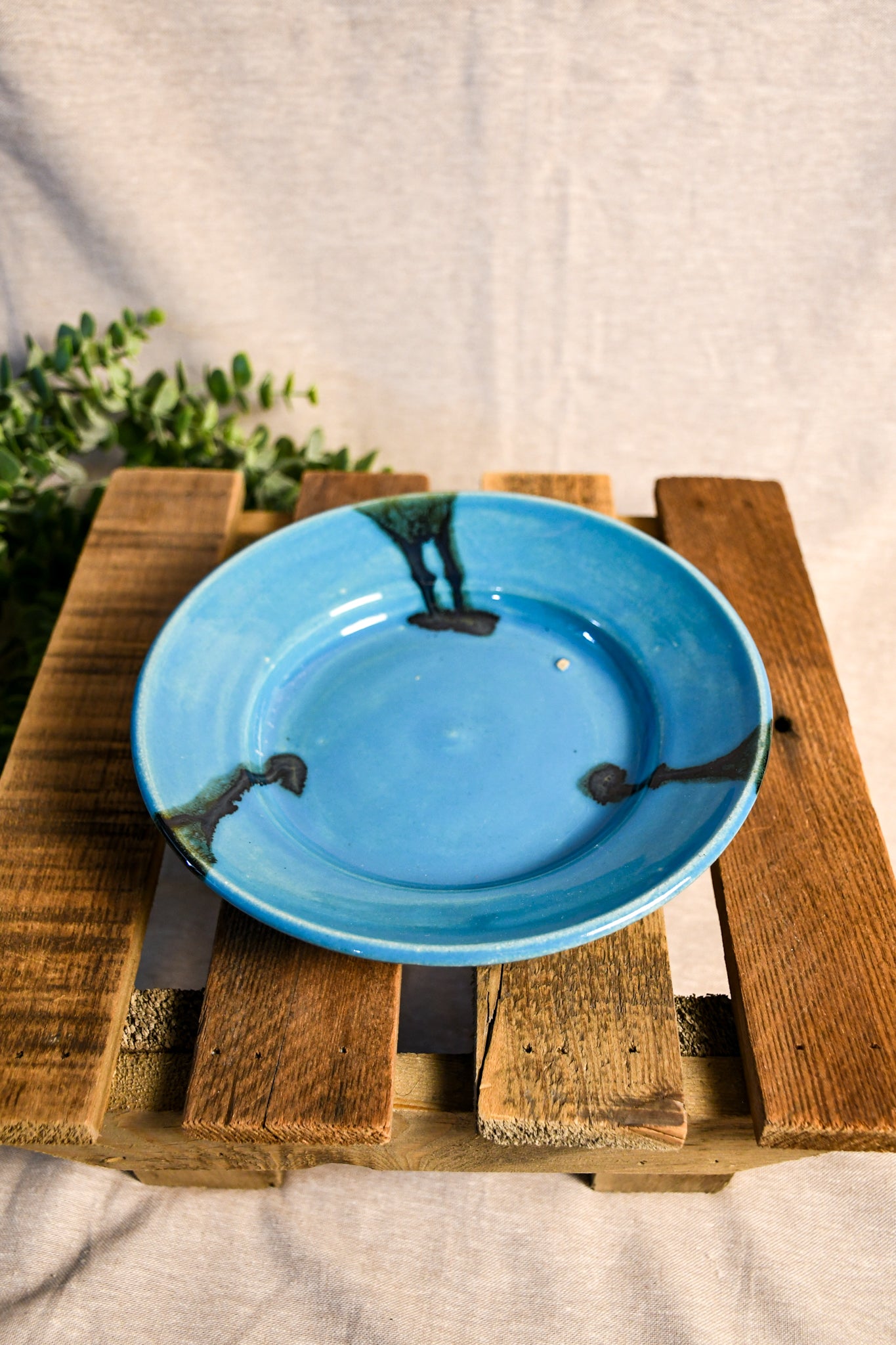 Seconds - 5th Buffalo Saucer