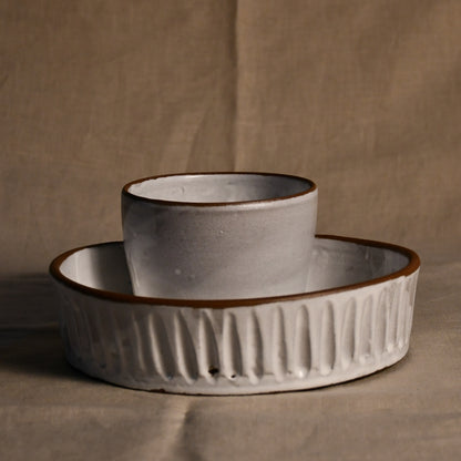 Wild Rojo Caprock Bowl