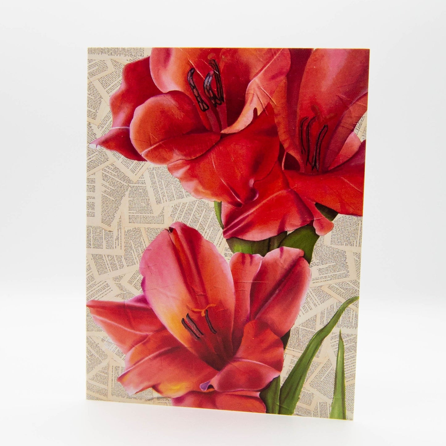 Assorted Stationery Cards