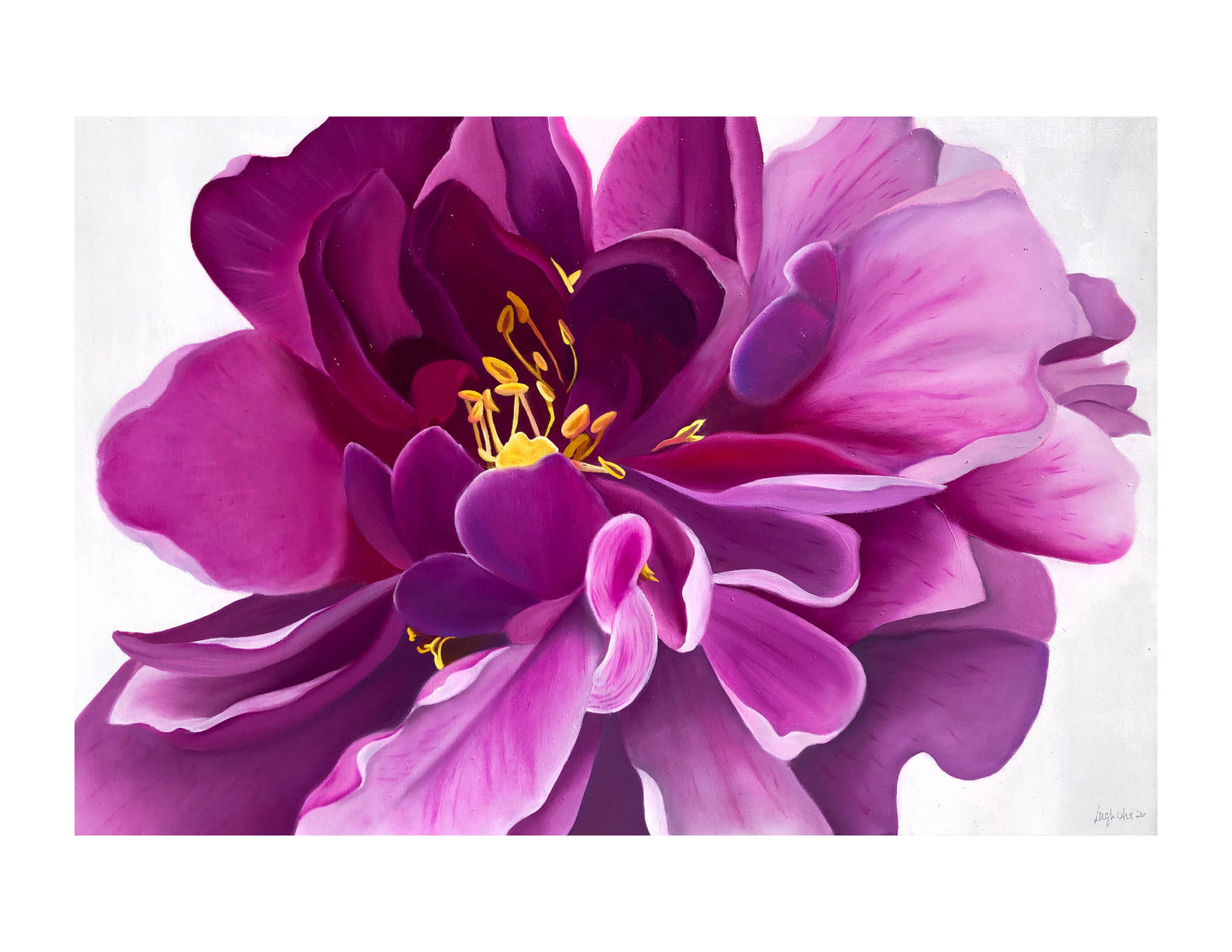 Prints - Pink Peony