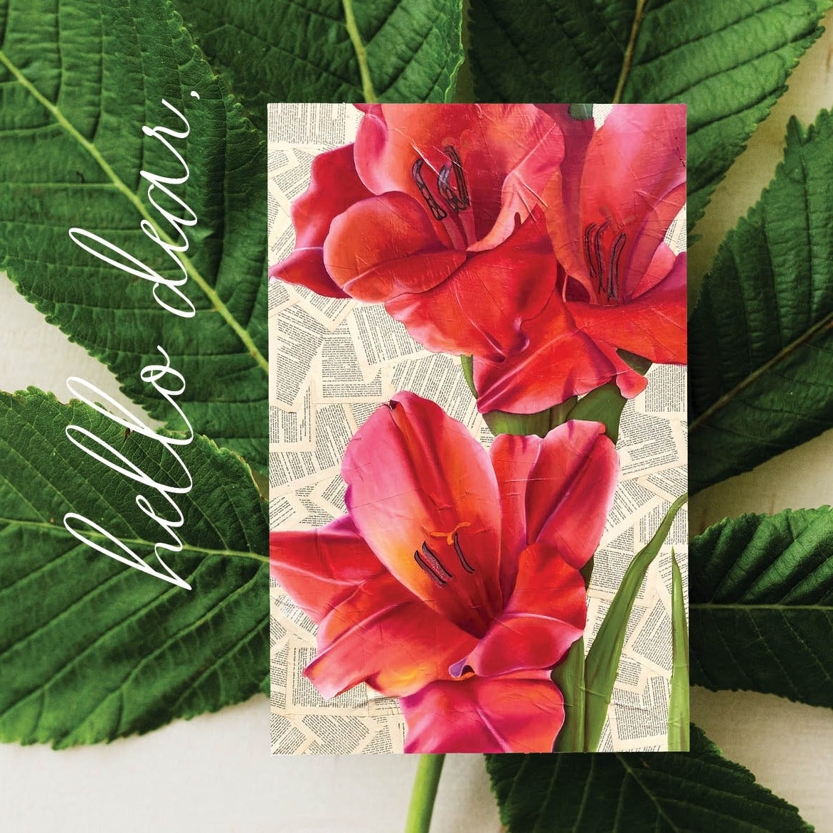 Assorted Stationery Cards